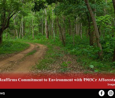 ₹903Cr Afforestation Plan