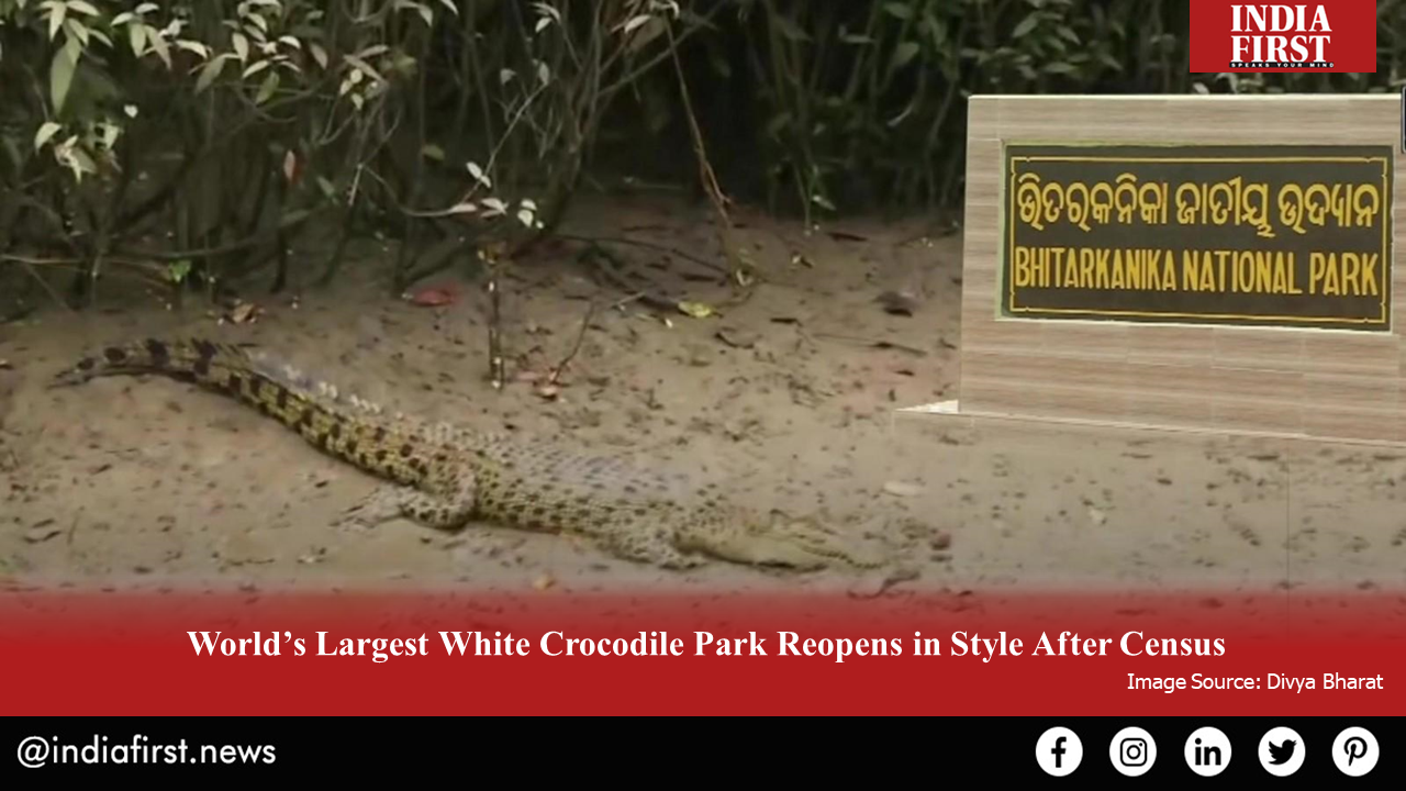 World’s Largest White Crocodile Park Reopens